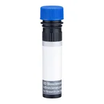 BD BUV496 Mouse Anti-Human Chondroitin Sulfate (NG2)