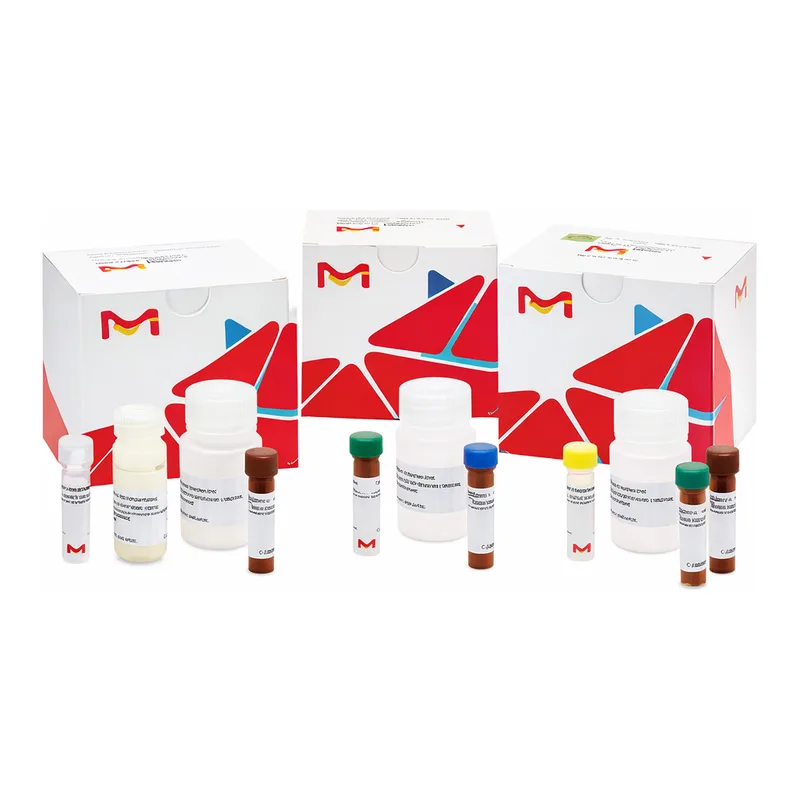 Merck Whole Blood Hemoglobin (Hb) Kit