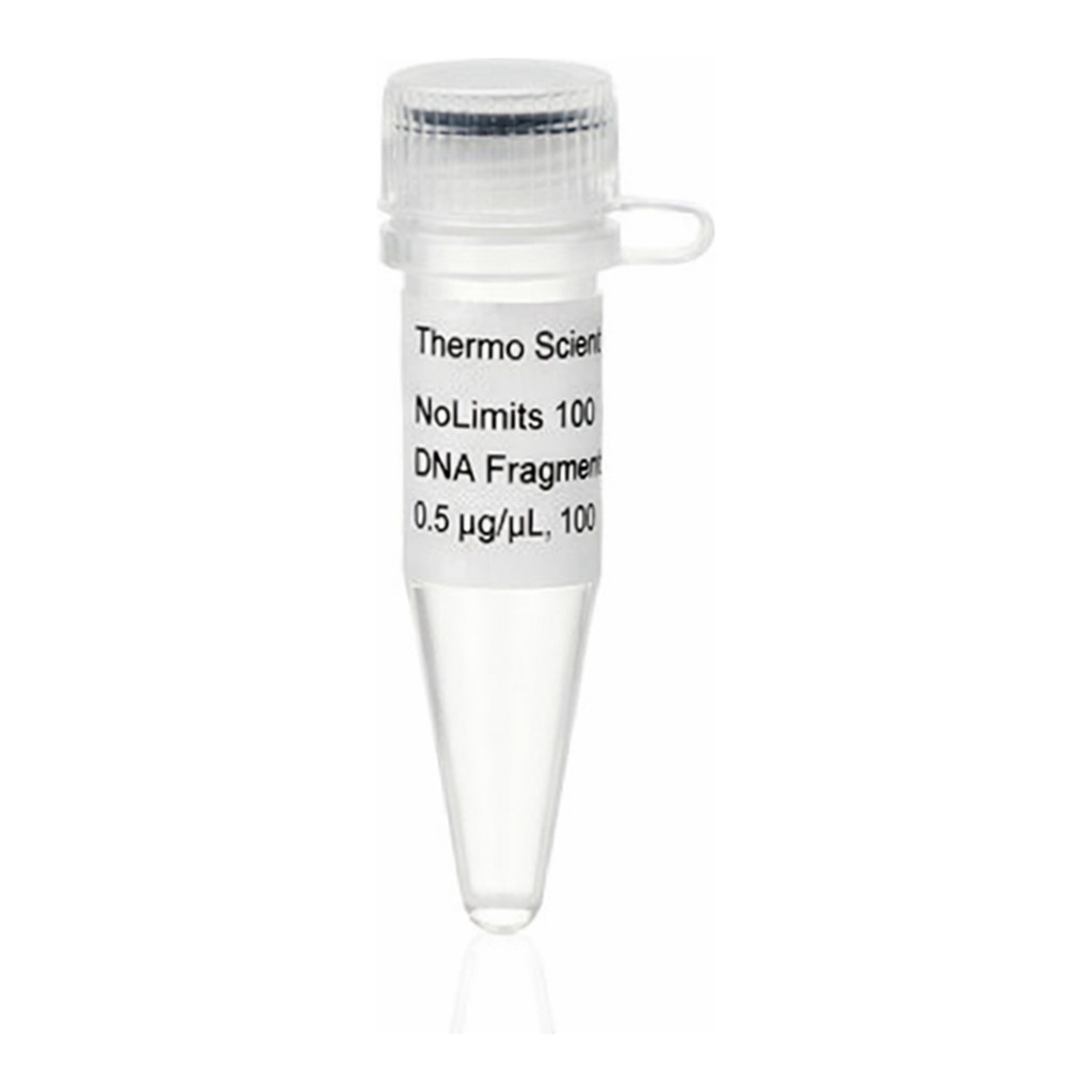 Thermo Fisher Scientific NoLimits 4000 bp DNA Fragment