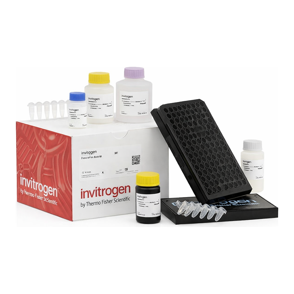 Thermo Fisher Scientific ProcartaPlex Porcine Basic Kit