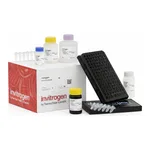 Thermo Fisher Scientific ProcartaPlex Porcine Basic Kit