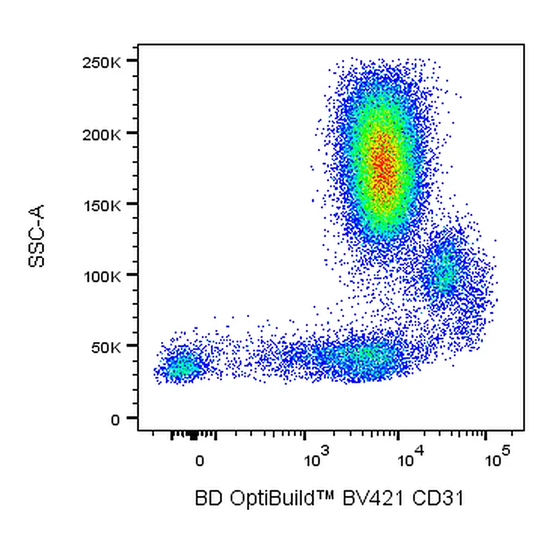 BD BV421 Mouse Anti-Human CD31