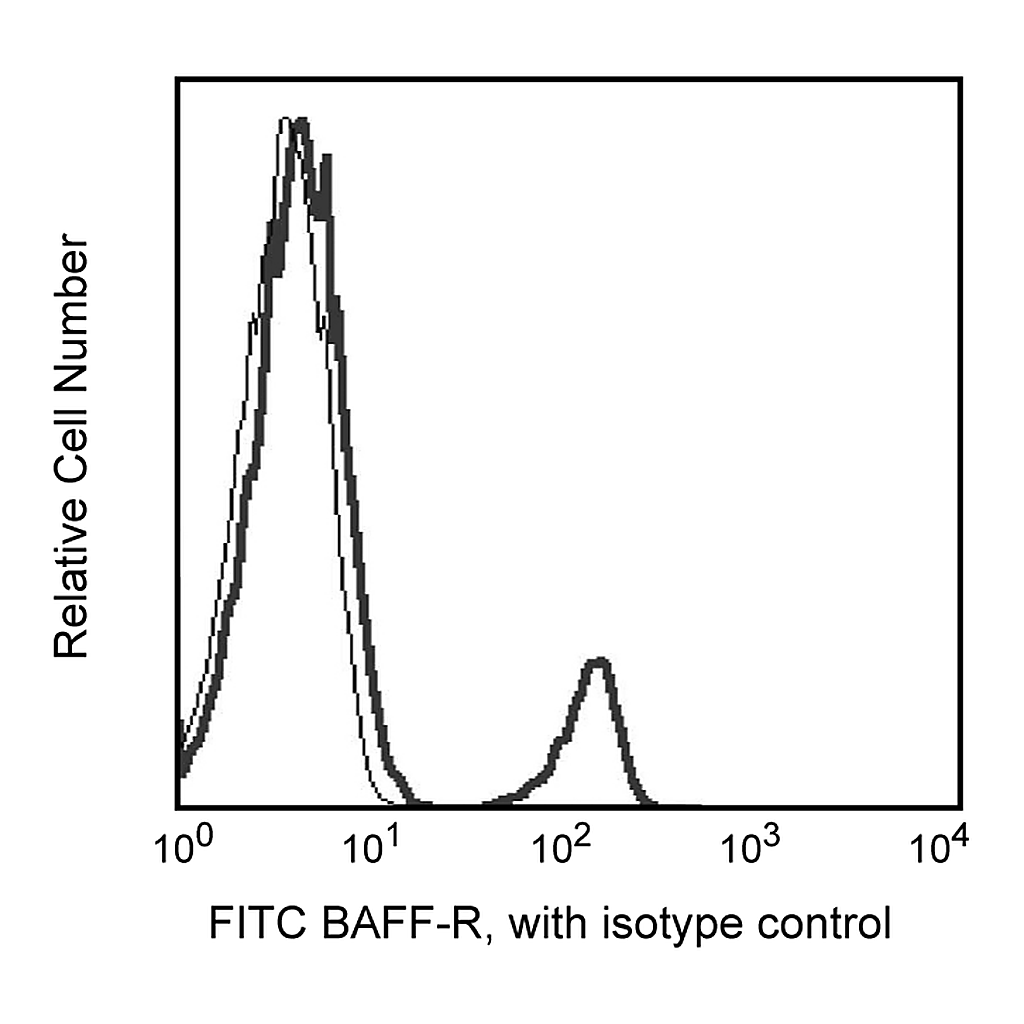 BD FITC Mouse Anti-Human CD268 (BAFF Receptor)