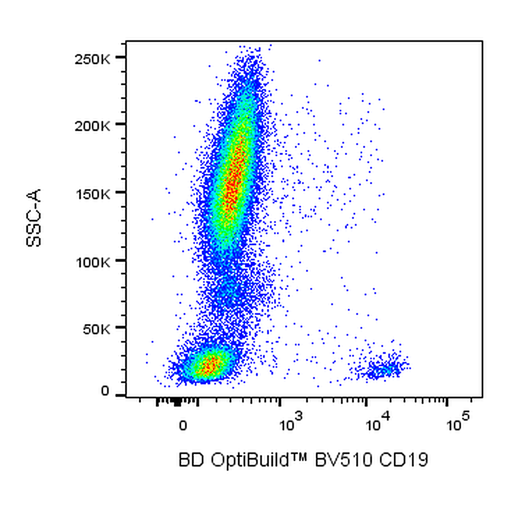 BD BV510 Mouse Anti-Human CD19