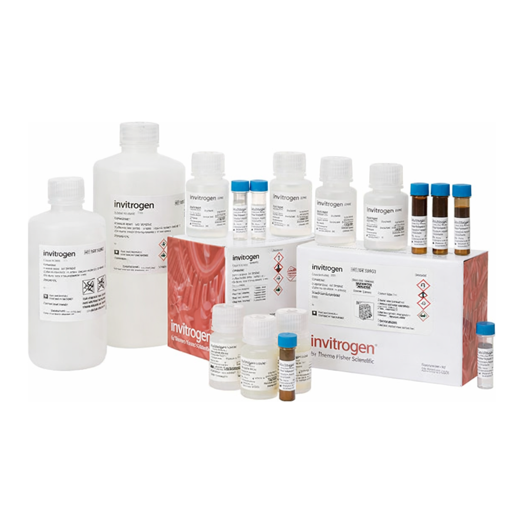 Thermo Fisher Scientific ViewRNA Tissue Assay Core Kit