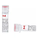 Merck MISSION(R) esiRNA