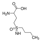 Merck DL-BUTHIONINE-SULFOXIMINE >+ 99.0% (TLC)