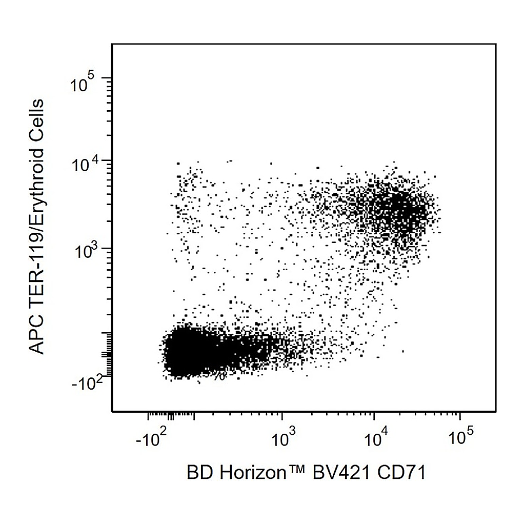 BD BV421 Rat Anti-Mouse CD71