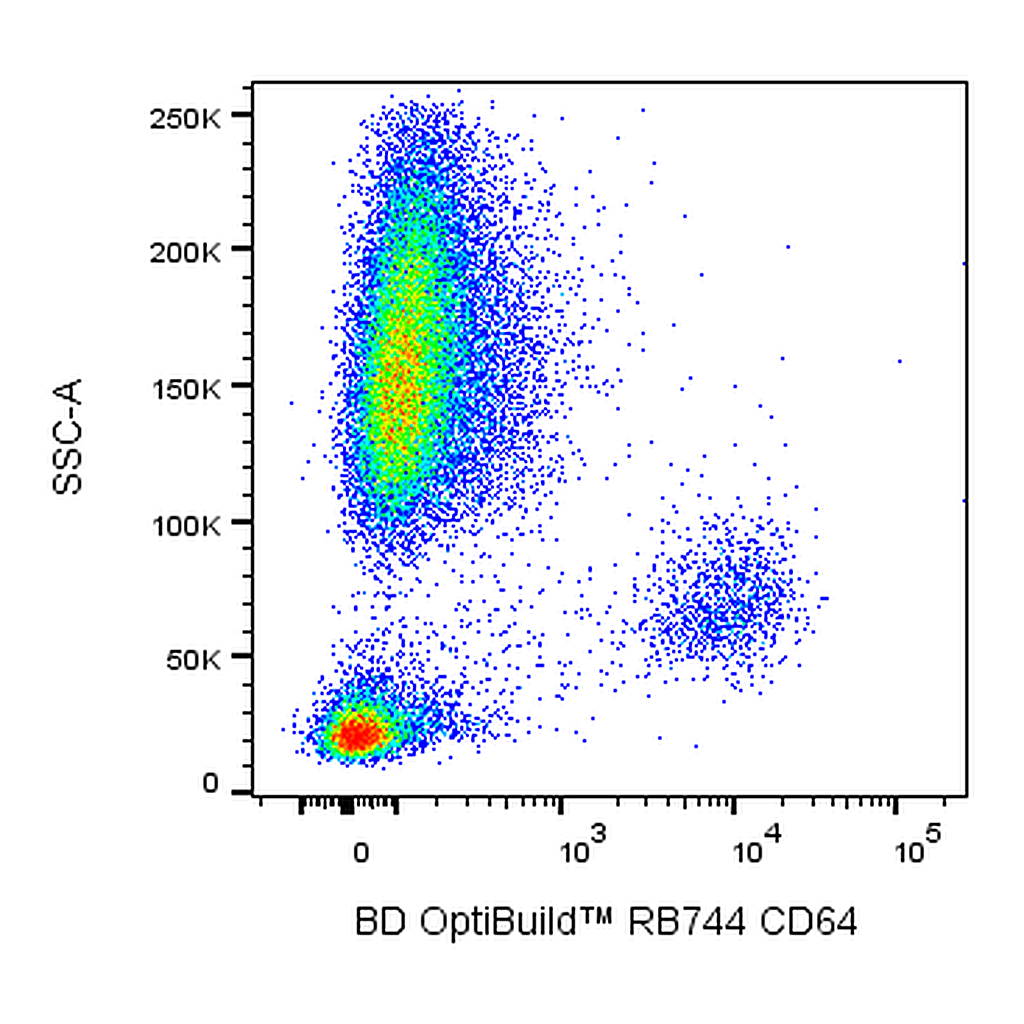 BD RB744 Mouse Anti-Human CD64