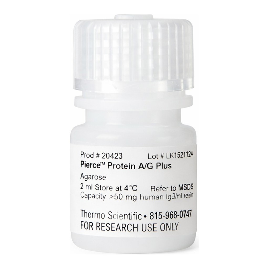 Thermo Fisher Scientific Pierce Protein A/G Plus Agarose, 2 mL