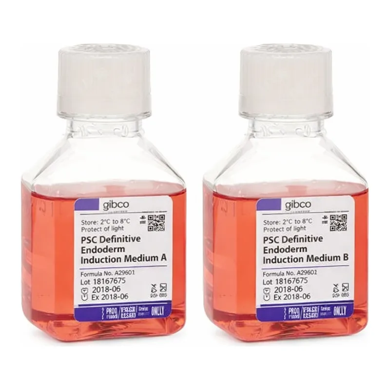 Thermo Fisher Scientific PSC Definitive Endoderm Induction Kit