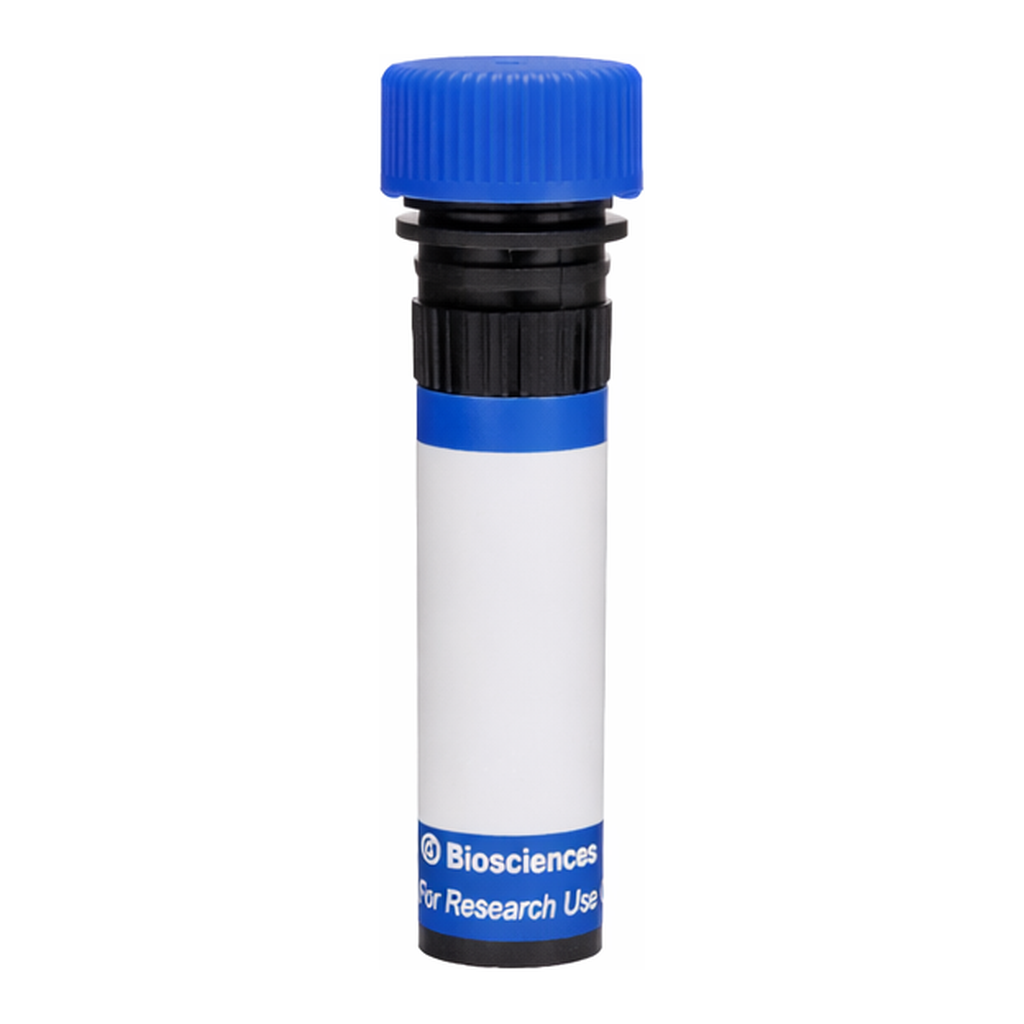 BD RB780 Mouse Anti-Human Delta-Like Protein 1