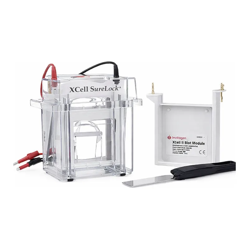 Thermo Fisher Scientific XCell SureLock Mini-Cell and XCell II Blot Module
