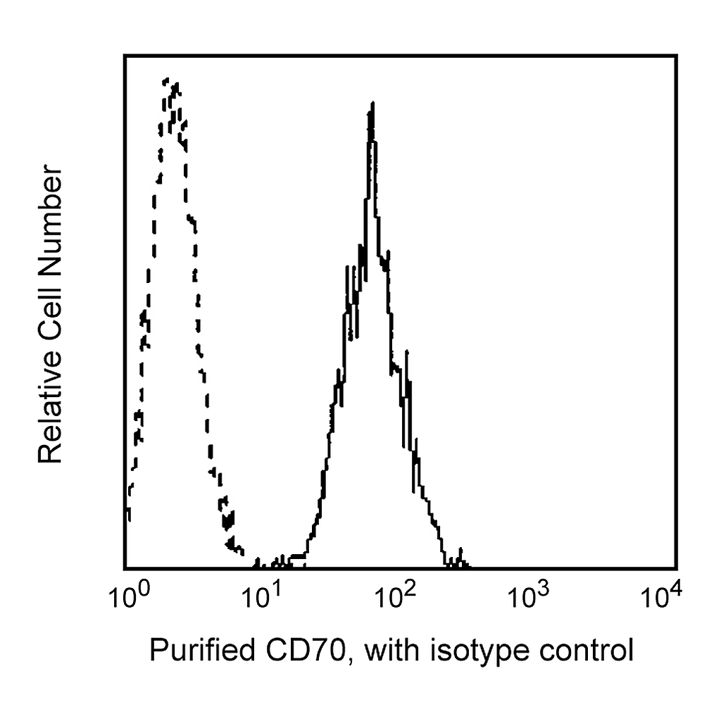 BD Purified Mouse Anti-Human CD70