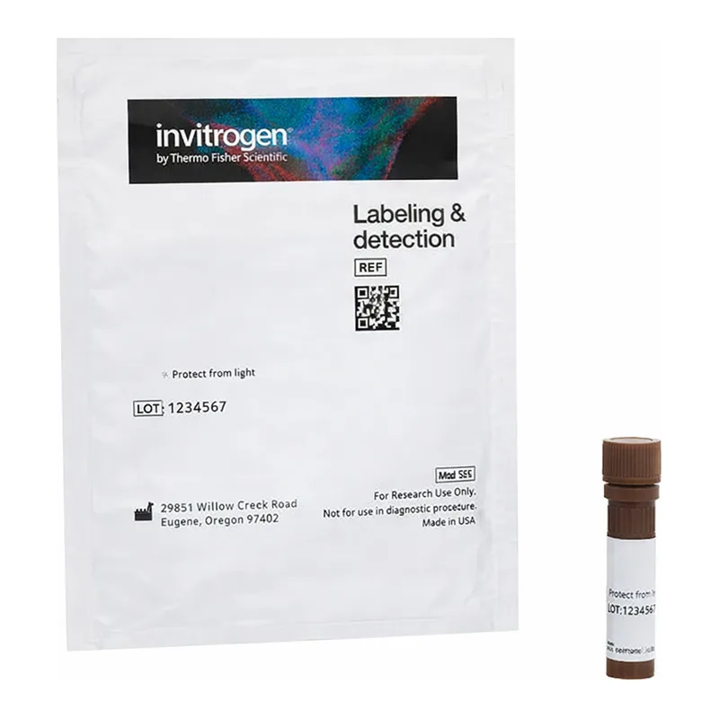Thermo Fisher Scientific Lotus Tetragonolobus (Asparagus Pea) Lectin (LTL), fluorescein (FITC)
