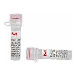 Merck MISSION(R) esiRNA