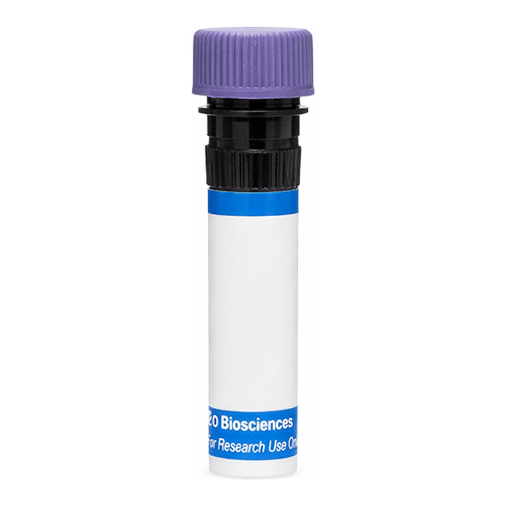 BD RB744 Rat Anti-Mouse GITR Ligand (TNFSF18)