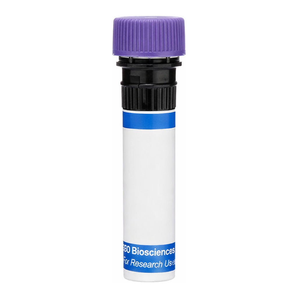 BD RB744 Mouse Anti-Human EGF Receptor