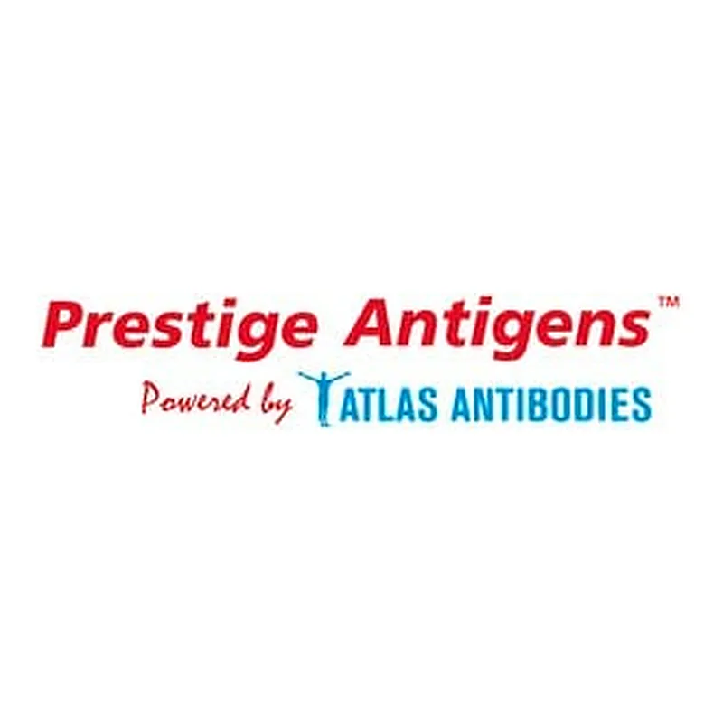 Merck PREST ANTIGEN PTGDS