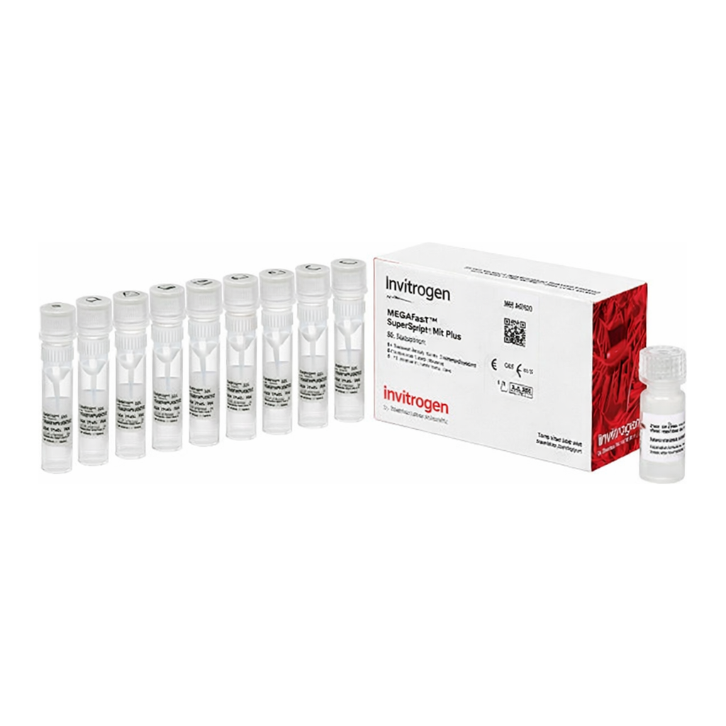 Thermo Fisher Scientific MegaScript T7 Transcription Kit Plus, 50 reactions