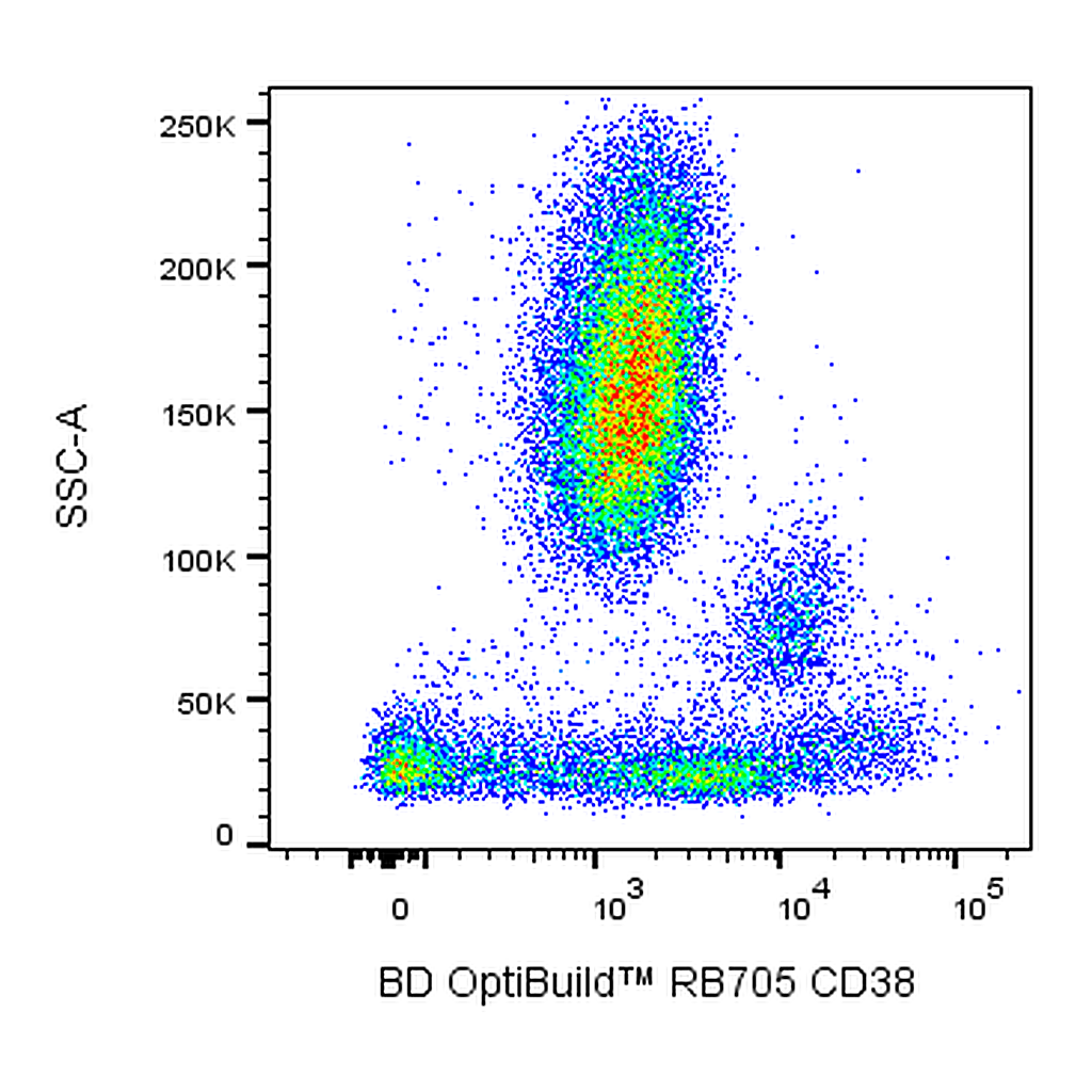 BD RB705 Mouse Anti-Human CD38