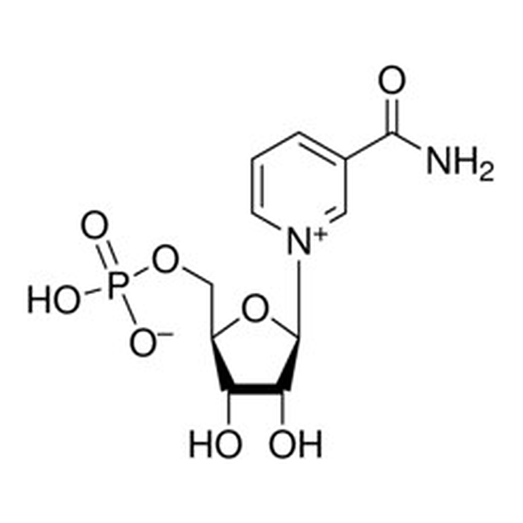 Merck B-NICOTINAMIDE MONONUCLEOTIDE