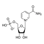 Merck B-NICOTINAMIDE MONONUCLEOTIDE