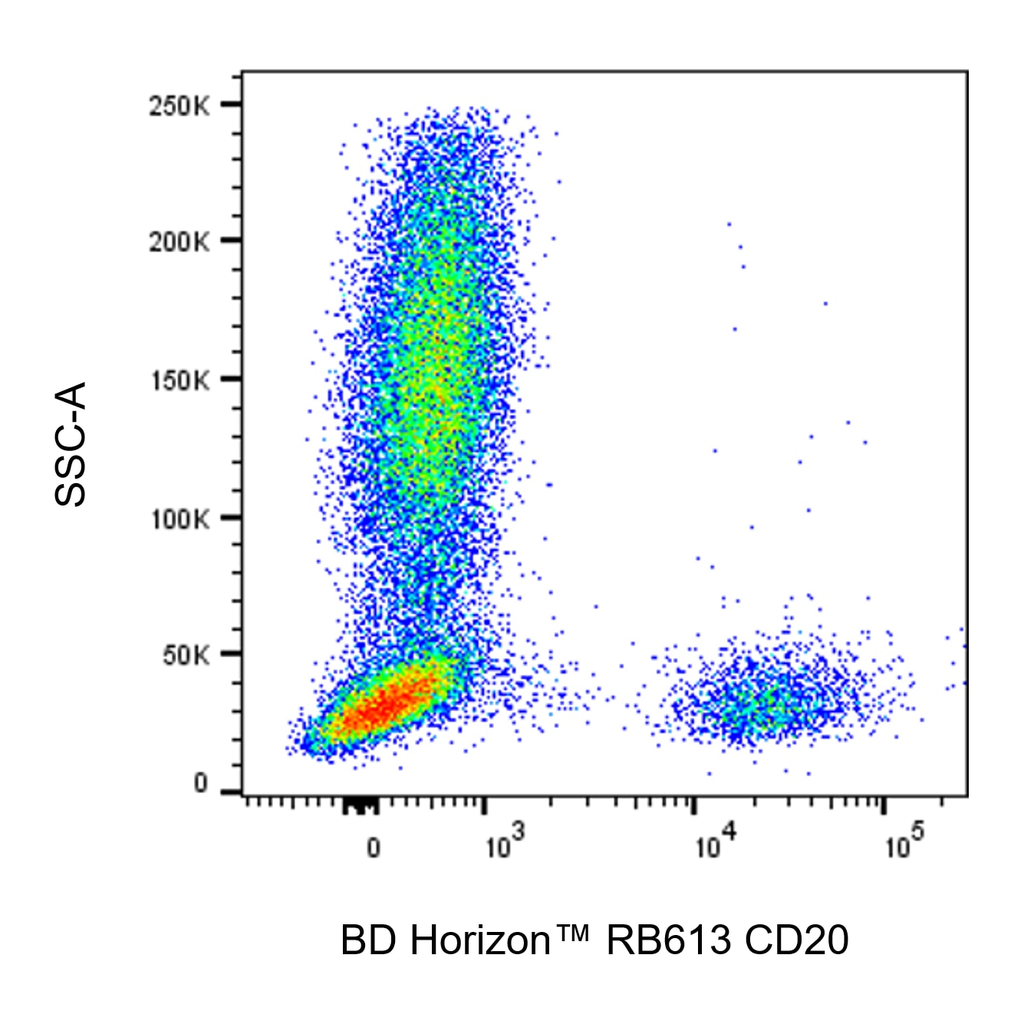 BD RB613 Mouse Anti-Human CD20