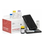 Thermo Fisher Scientific SARS-CoV-2 Spike Omicron (B.1.1.529) Neutralizing Antibody Human ProcartaPlex Simplex Kit