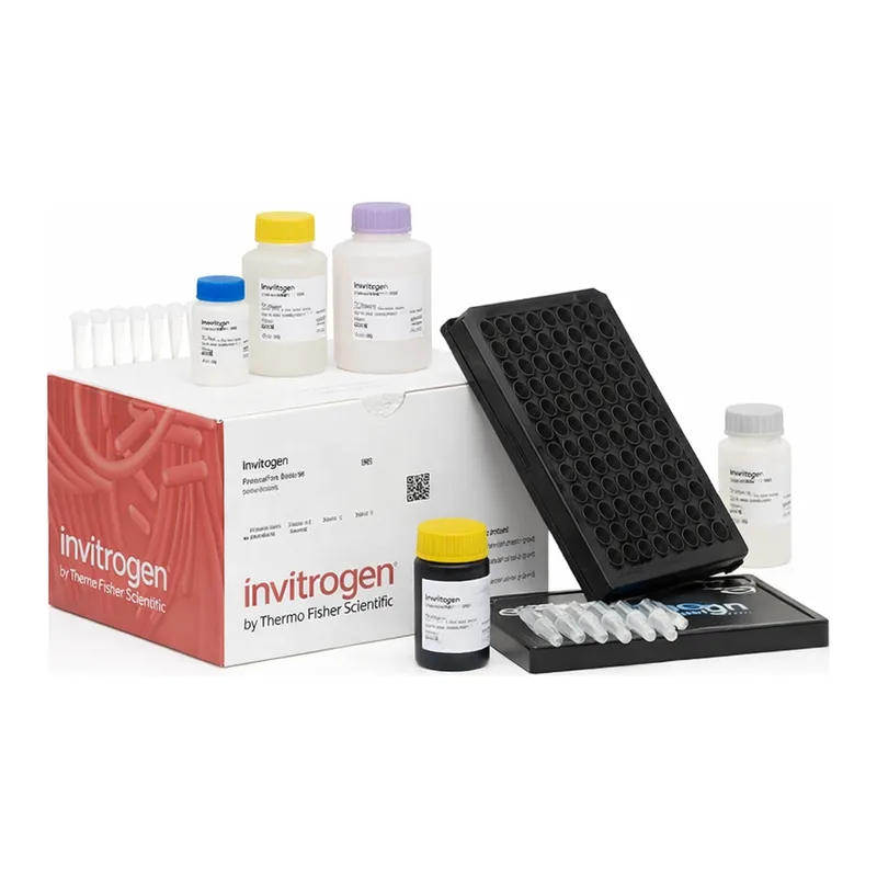 Thermo Fisher Scientific SARS-CoV-2 Spike Omicron (B.1.1.529) Neutralizing Antibody Human ProcartaPlex Simplex Kit