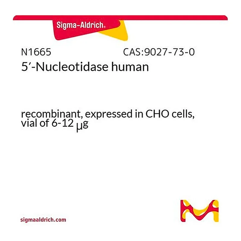 Merck 5'-Nucleotidase human