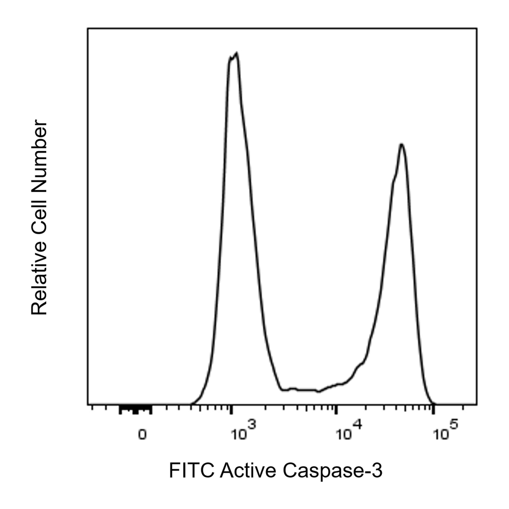 BD FITC Rabbit Anti-Active Caspase-3