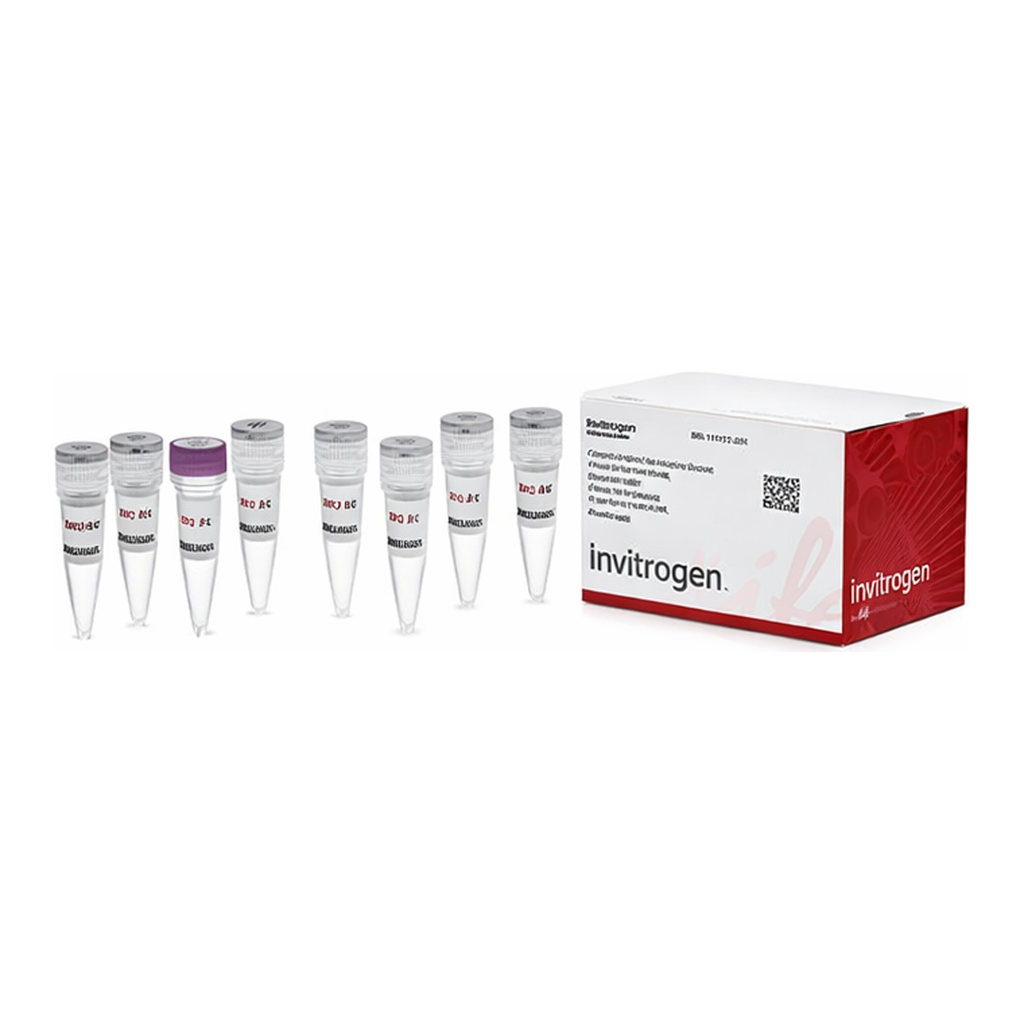 Thermo Fisher Scientific SuperScript Double-Stranded cDNA Synthesis Kit, 10 Reactions