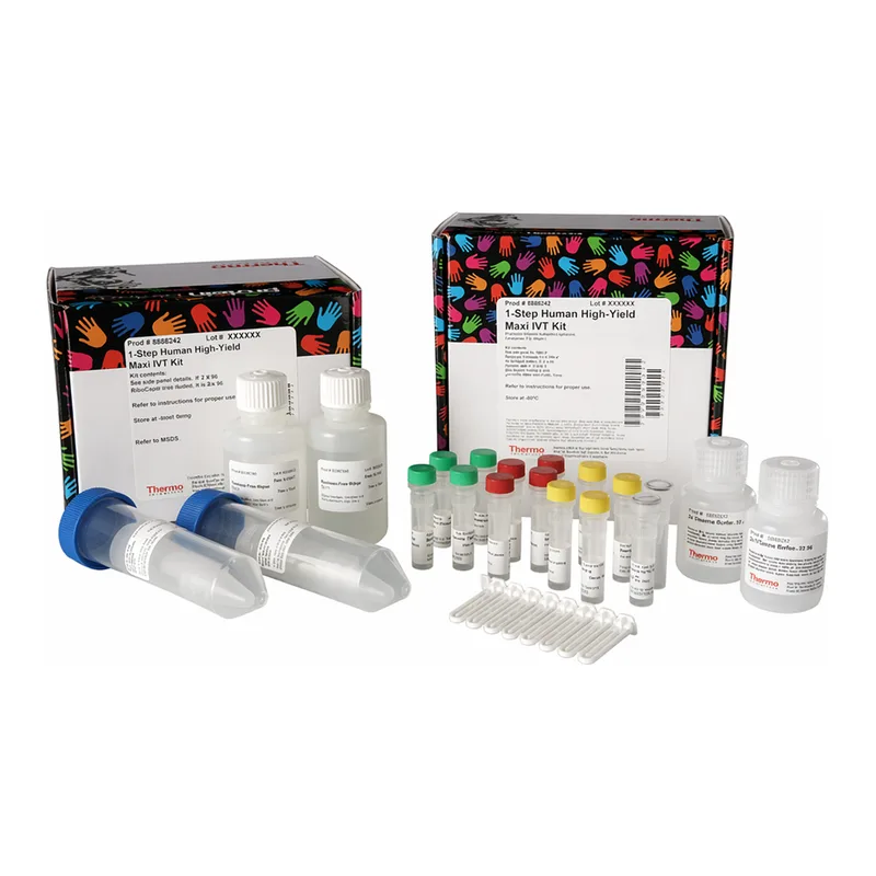 Thermo Fisher Scientific 1-Step Human High-Yield Mini IVT Kit, 2 x 100 μL