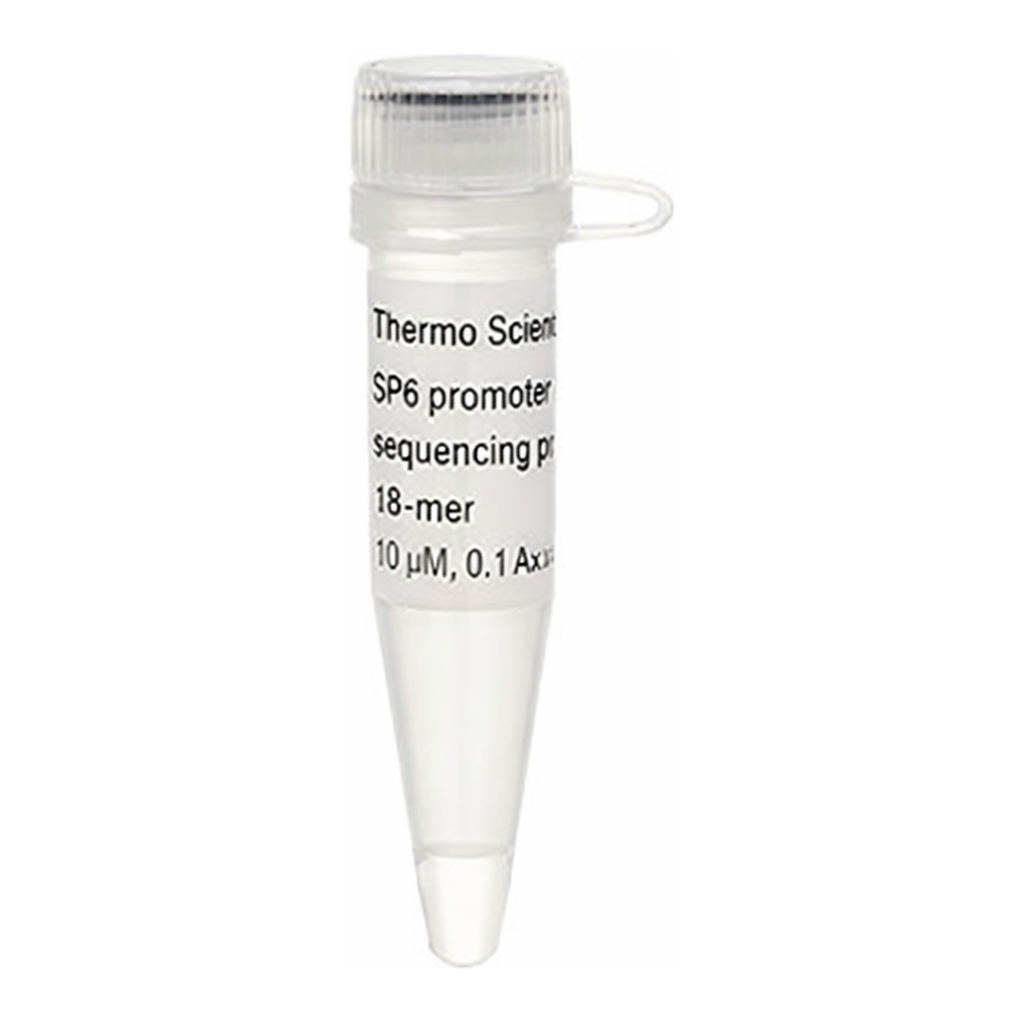 Thermo Fisher Scientific SP6 promoter Sequencing Primer, 18-mer