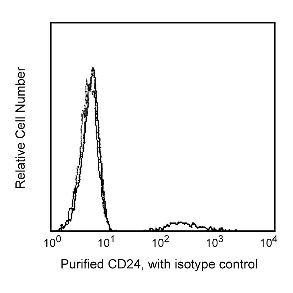 BD Purified Mouse Anti-Human CD24