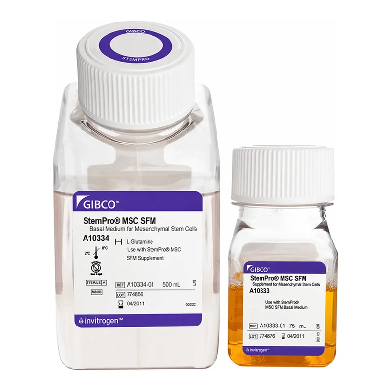 Thermo Fisher Scientific StemPro MSC SFM, 1 Kit