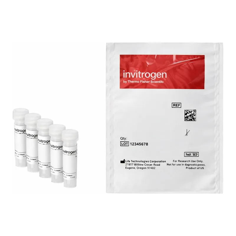 Thermo Fisher Scientific FluoSpheres Size Kit #2, Carboxylate-modified Microspheres, yellow-green fluorescent (505/515), 2% solids, six sizes