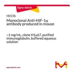 Merck Monoclonal Anti-HIF-1alpha antibody produced in mouse