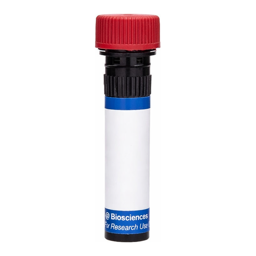 BD RB670 Rat Anti-Mouse Delta-Like Protein 1 (DLL1)