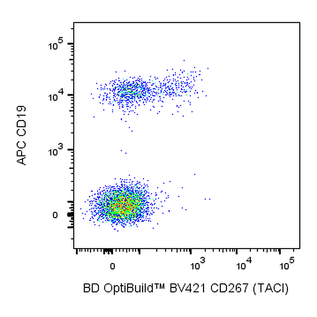 BD BV421 Rat Anti-Human CD267