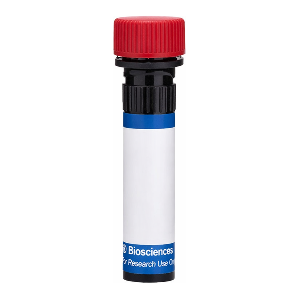 BD PE Hamster IgG1, λ1 Isotype Control