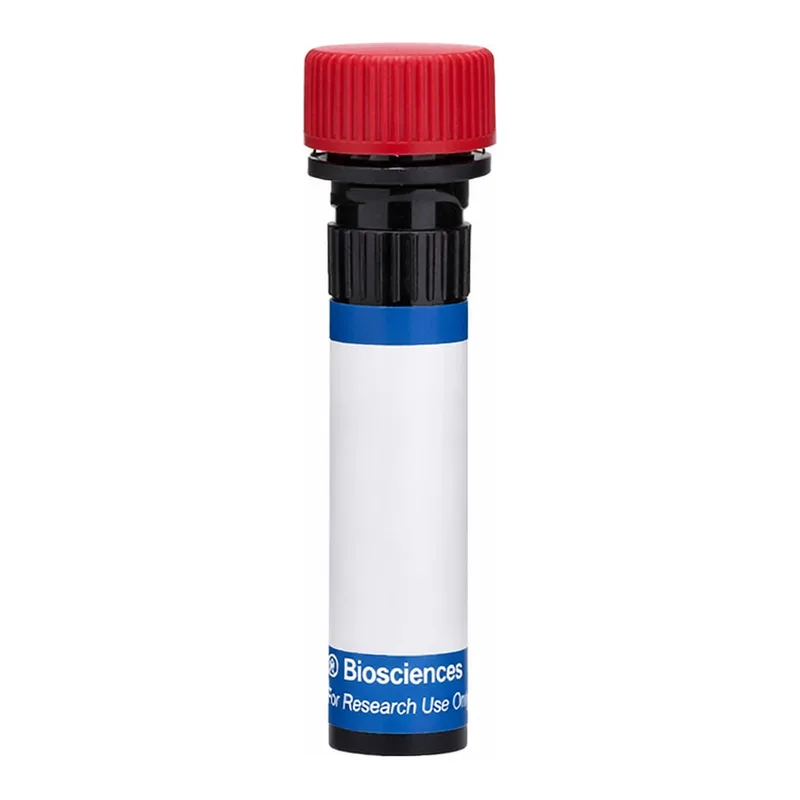 BD PE Hamster IgG1, λ1 Isotype Control