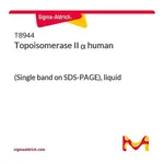 Merck Topoisomerase II alpha human