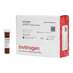 Thermo Fisher Scientific CoV-NL63 Ig Total Human ProcartaPlex Simplex Kit