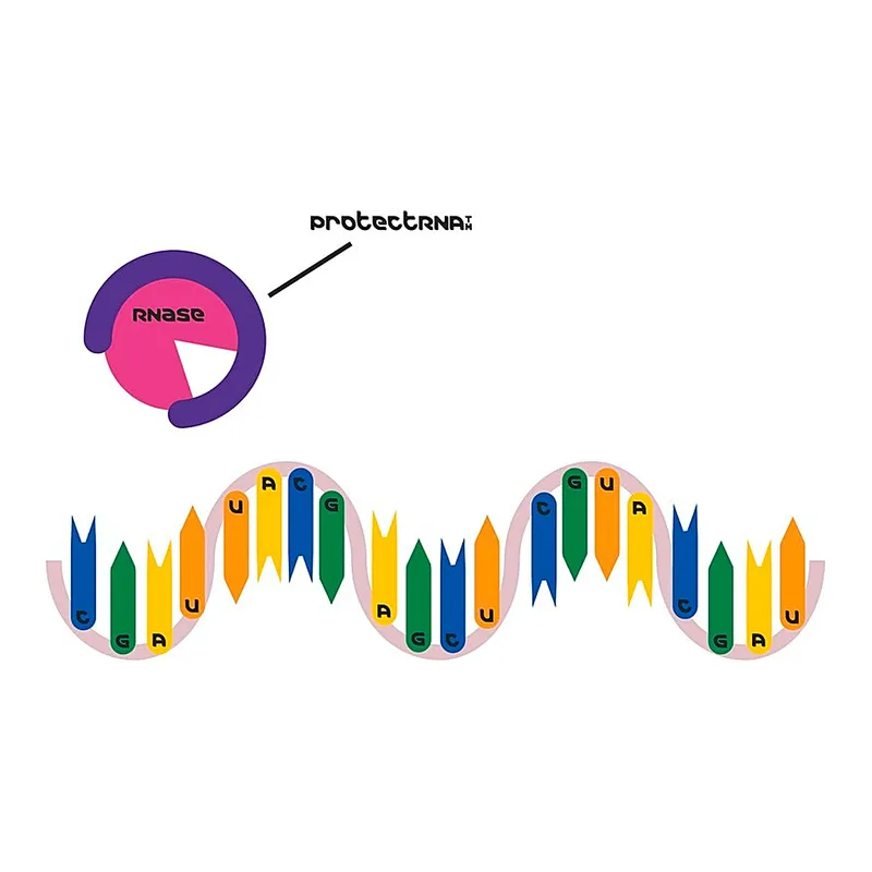 Merck ProtectRNA(TM) RNase Inhibitor 500x Concentrate