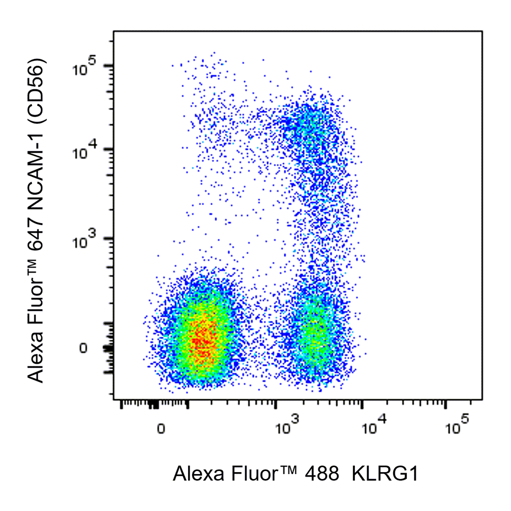 BD Alexa Fluor 488 Mouse Anti-Human KLRG1