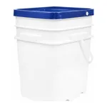 Thermo Fisher Scientific Difco PPLO Broth