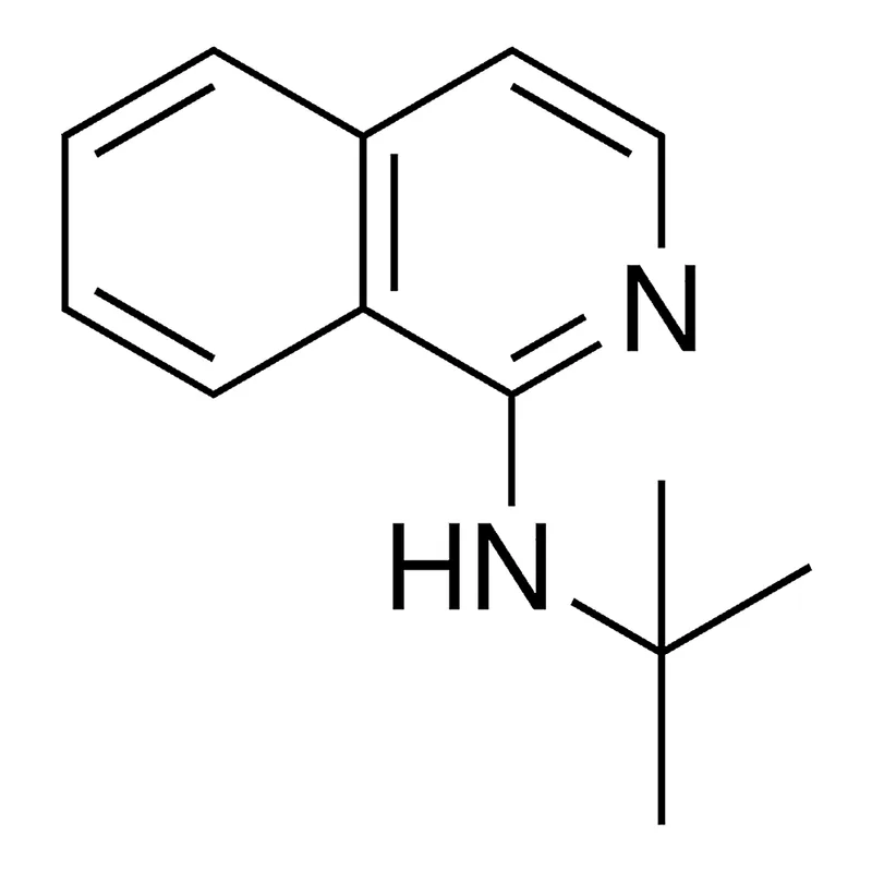 Merck TERT-BUTYL-ISOQUINOLIN-1-YL-AMI-