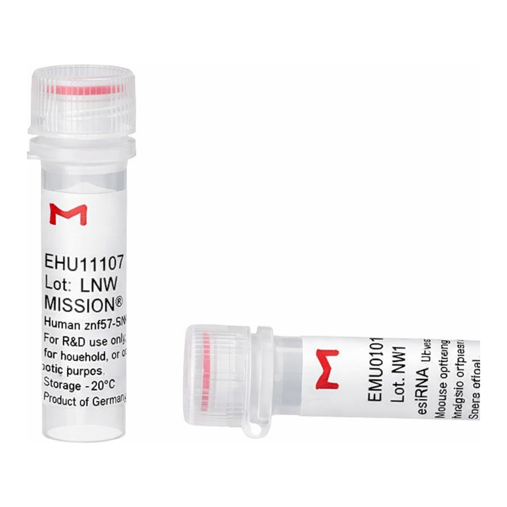 Merck MISSION(R) esiRNA